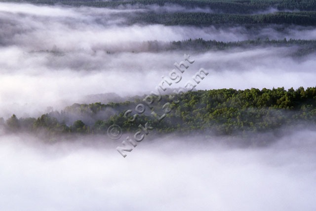 Cloud inversion over Loch Ard forest