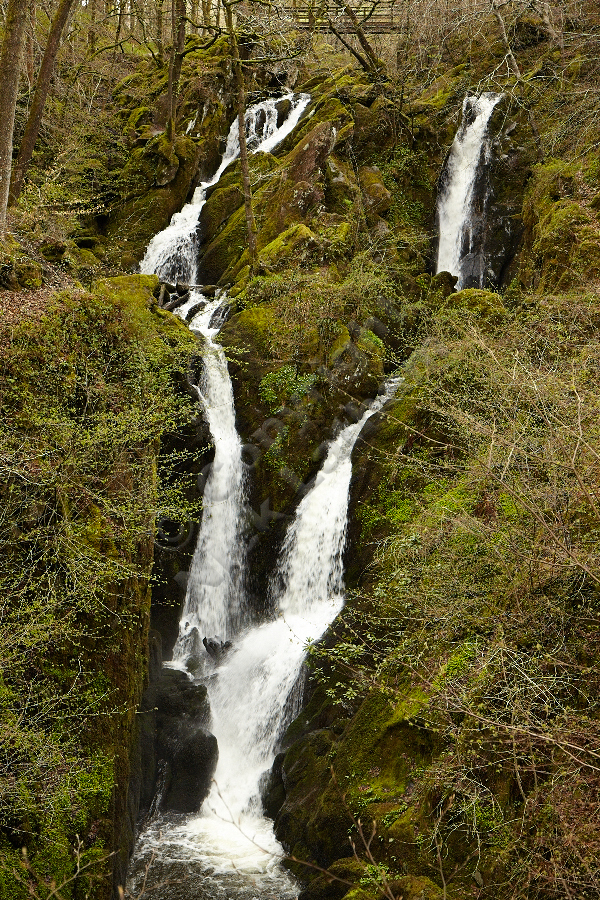 Stockghyll Force