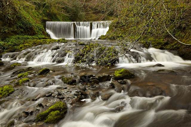 waterfall force rock water stream river flow tree movement wood woodland Lakes Lake District Ambleside