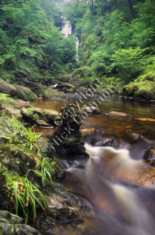 Scotland Trossachs river stream burn brook flow water rock tree foliage wood woodland nature