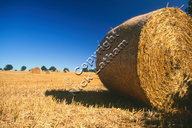 straw bale round field farm farming country tradition blue sky stubble summer harvest