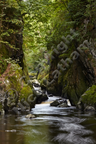 River Conwy wood tree gorge moss rock flow landscape scenic Snowdonia National Park beauty spot rapid cascade ravine