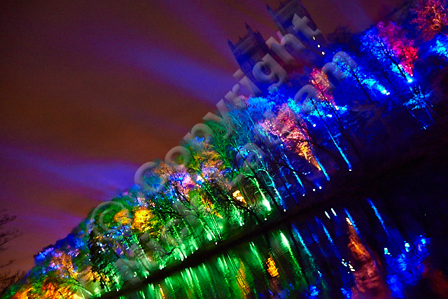art spectacular exhibition city light festival visitor attraction tourist river cathedral colour sound